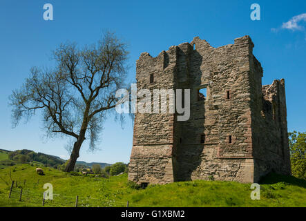 Hopton Castle, South Shropshire, England, UK. Stock Photo