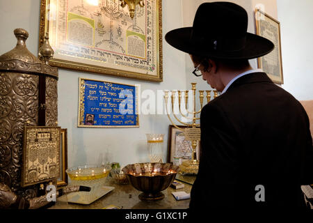 An ultra orthodox Jew praying inside the tomb of Rabbi Meir Baal Hanes who lived around 217 CE and is considered  a major Jewish pilgrimage site in Israel located in the city of Tiberias Israel Stock Photo