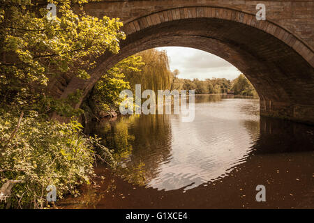 A scenic view of the River Tees at Yarm  showing the arch of the  bridge and tree lined river banks and reflections Stock Photo