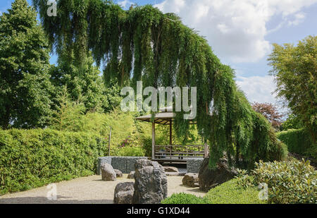 Patio the subject of architecture and landscape design in parks and gardens. Stock Photo