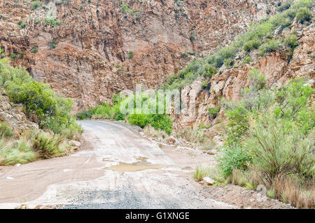 A wet Nuwekloofpas (new valley pass) crossing a small river while descending into the Baviaanskloof (baboon valley) Stock Photo