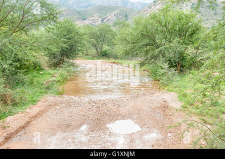 The road through the wilderness area in the Baviaanskloof (baboon valley) crosses the Baviaans River on a concrete causeway Stock Photo