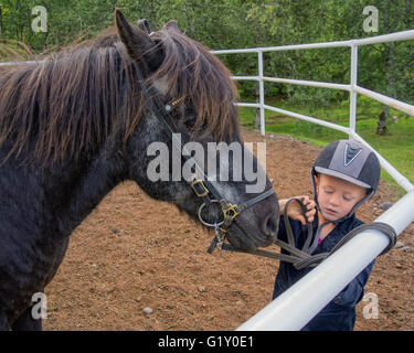 Selfoss, South Iceland, Iceland. 4th Aug, 2015. A young boy ties up his Icelandic horse at the Fridheimar family run farm in Selfoss, South Iceland. The breed was introduced by the first settlers from Scandinavia around 900 AD. Besides horticulture, the family offers visitors a horse show. Tourism is a growing sector of the economy with Iceland becoming a favorite tourist destination © Arnold Drapkin/ZUMA Wire/Alamy Live News Stock Photo