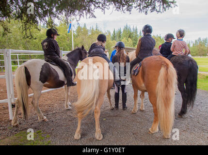 Selfoss, South Iceland, Iceland. 4th Aug, 2015. At the Fridheimar family run farm in Selfoss, South Iceland, the farm children sit atop their horses. Besides horticulture, the family offers visitors a horse show featuring the Icelandic horse breed brought by the first settlers from Scandinavia around 900 AD. Tourism is a growing sector of the economy with Iceland becoming a favorite tourist destination. © Arnold Drapkin/ZUMA Wire/Alamy Live News Stock Photo