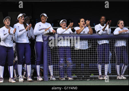 Seattle, Washington, USA. 20th May, 2016. University of Washington's bench cheers during an NCAA Regional game against Weber State. UW won the NCAA 1st Round Regional game in Seattle 14-6. Credit:  Cal Sport Media/Alamy Live News Stock Photo