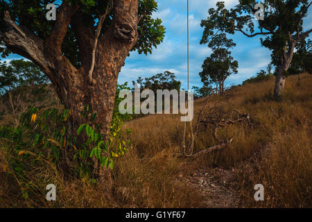 A rope with a noose hanging from a tree on a hill Stock Photo