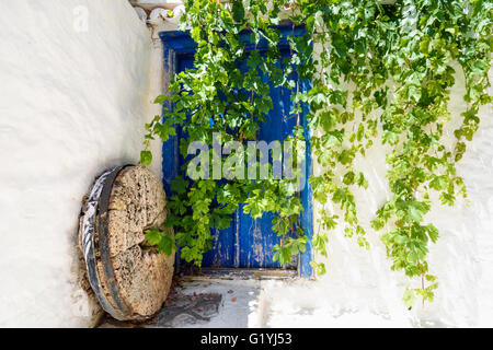 Vine covered old painted blue wooden door in a whitewashed wall in Hydra Town, Hydra Island, Greece Stock Photo