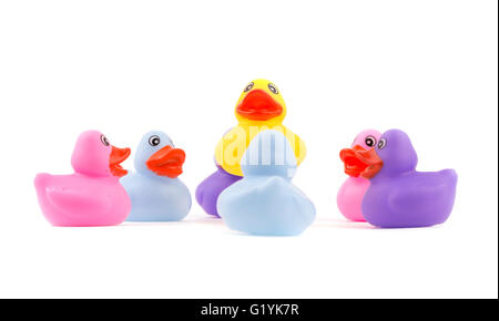 Rubber ducklings in a circle, with one above the others - concept of leadership; on white Stock Photo