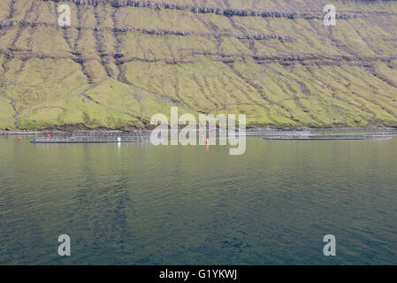 Closeup of a salmon farm in water on the Faroe Islands Stock Photo
