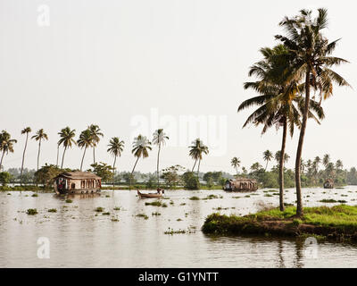 Houseboats along a channel in the Kerala backwaters.India Stock Photo