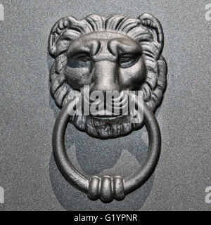 door knocker with bright iron lion in the sun Stock Photo