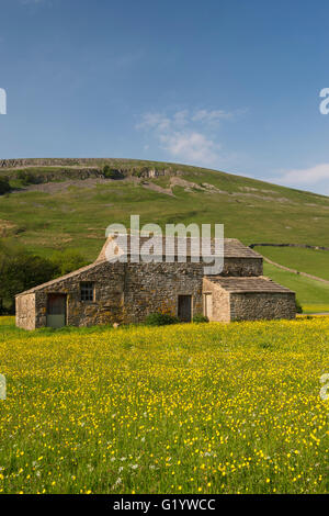 Scenic Swaledale upland wildflower hay meadows (old stone field barn, colourful sunlit wildflowers, hillside, blue sky) - Muker, Yorkshire Dales, UK. Stock Photo