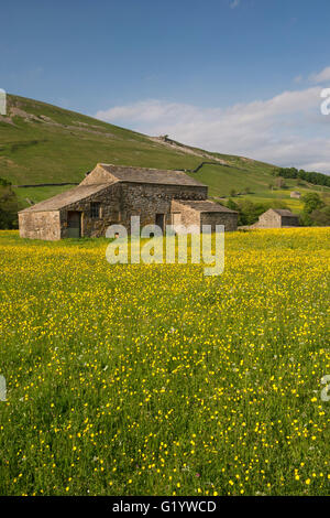 Scenic Swaledale upland wildflower hay meadows (old stone field barns, colourful sunlit wildflowers, hillside, blue sky) - Muker, Yorkshire Dales, UK. Stock Photo