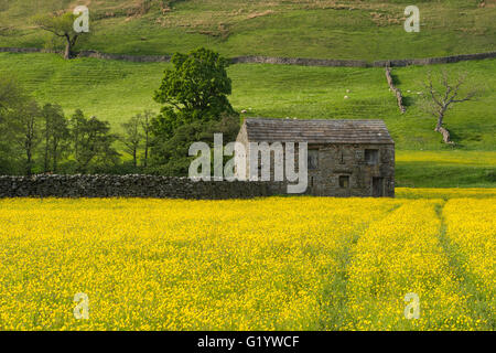 Scenic Swaledale upland wildflower hay meadows (old stone field barn, colourful sunlit wildflowers, buttercups, hillside) - Muker, Yorkshire Dales, UK Stock Photo