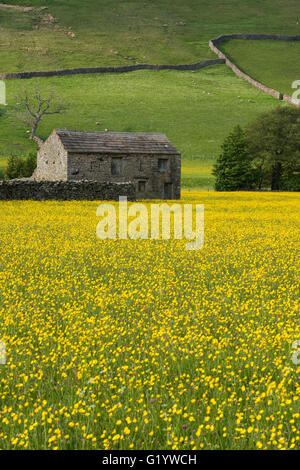 Scenic Swaledale upland wildflower hay meadows (old stone field barn, colourful sunlit wildflowers, buttercups, hillside) - Muker, Yorkshire Dales, UK Stock Photo