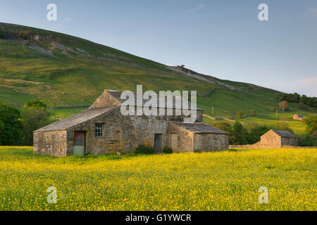 Scenic Swaledale upland wildflower hay meadows (old stone field barns, colourful sunlit wildflowers, hillside, blue sky) - Muker, Yorkshire Dales, UK. Stock Photo