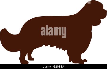 Cavalier king charles spaniel silhouette Stock Vector