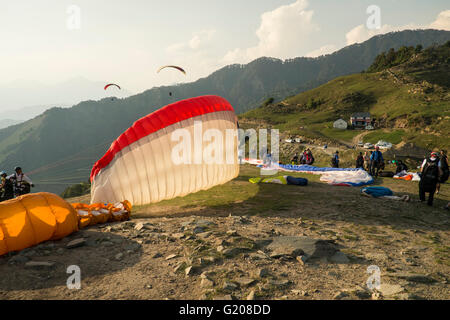 A paraglider flyer gets ready for take off at Bir Billing, Himachal Pradesh Stock Photo