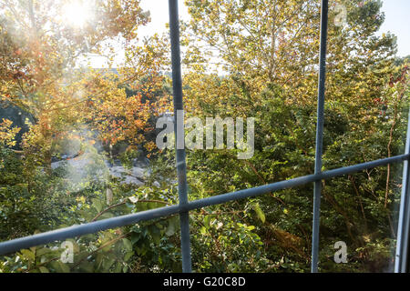 View of the Reedy River and autumn leaves from a window at Spill the Beans coffee shop in downtown Greenville, South Carolina. Stock Photo