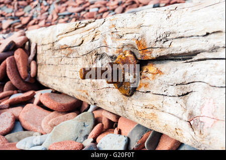 Old rusted screw bolted into a long piece of cracked driftwood in perspective, lying on red stones. Stock Photo