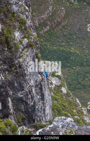 Cape Town South Africa March 20 2016 A rock climber ascends the cliff face at Table Mountain Stock Photo