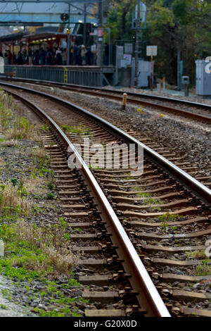 railroad : a track or set of tracks made of steel rails along which passenger and freight trains run. Stock Photo
