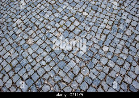 cobblestone pavement Stock Photo