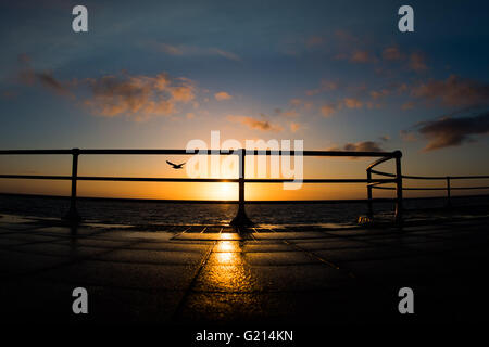 Aberystwyth, Wales, UK. 21st May, 2016.  UK weather:  After a day of heavy rain and grey clouds, the skies clear in the evening giving a spectacular sunset over Cardigan Bay in Aberystwyth on the west Wales coast UK  photo Credit:  Keith Morris / Alamy Live News Stock Photo