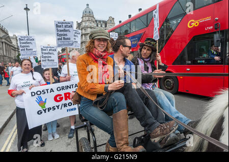 London, UK. 21st May, 2016. Four horses came to Parliament Square for the protest, but were told by heritage wardens and police that it was was against bylaws for them to be on the square. They led the protest in repeated circuits of the roadway around the square before leaving as the rally on the square started. They say ‘Dosta, Grinta, Enough!’ to changes to the Gypsy and Traveller planning guidance and other actions by the government which are an attack on their ethnicity and way of life and call for an end to 500 years of persecution. Peter Marshall/Alamy Live News Stock Photo