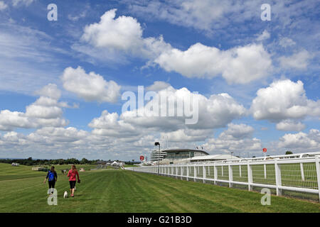 Epsom Downs, Surrey, England, UK. 22nd May 2016. A fine day for walking the dogs beside the grandstand at Epsom Downs, Surrey. Credit:  Julia Gavin UK/Alamy Live News Stock Photo