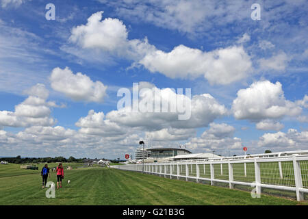 Epsom Downs, Surrey, England, UK. 22nd May 2016. A fine day for walking the dogs beside the grandstand at Epsom Downs, Surrey. Credit:  Julia Gavin UK/Alamy Live News Stock Photo