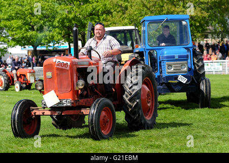 Royal Welsh Spring Festival, May 2016 - The show featured a parade by classic cars and vintage tractors - shown here is a Nuffield 10/42 tractor produced in the mid Sixties. Stock Photo