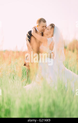 Young beautiful wedding couple hugging in a field with grass eared Stock Photo