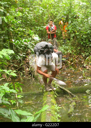 Expedition in Amazon rainforest. Requena. Peru Stock Photo