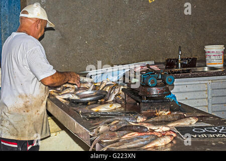 Man Working At The Fish Shop The Ver O Peso Market Belem Brazil Stock Photo