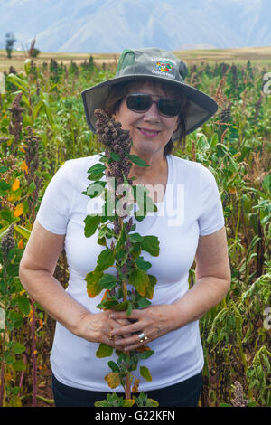 Female tourist holding a stalk of immature Quinoa in the highlands of Peru Stock Photo
