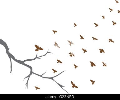 vector illustration of tree branch and bird flying Stock Vector