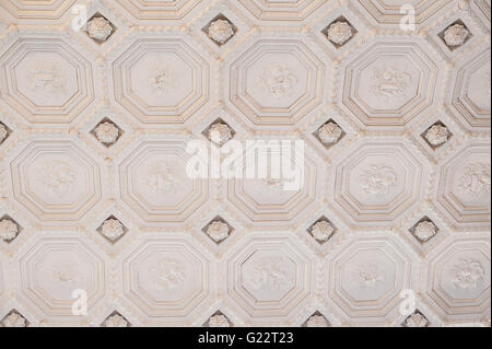 vintage architectural texture of the ceiling in a classic style Stock Photo