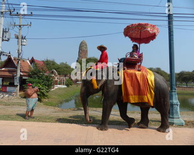 Asian elephant carrying tourists being photographed by obese man. Wat Chaiwatthanaram temple is in rear Stock Photo