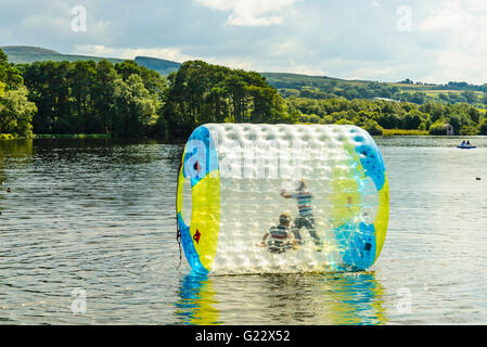 Aqua zorbing at Talkin Tarn Country Park near Brampton Cumbria Stock Photo