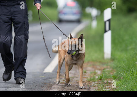 hitzemann 41 Rearden Stock Photos, High-Res Pictures, and Images - Getty Images