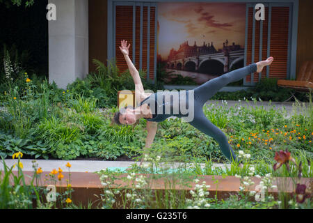Chelsea, London UK. 23rd May 2016. Yoga practitioner on the Garden of Mindful Living. Press Day for the world famous Chelsea Flower Show. Credit:  Malcolm Park editorial/Alamy Live News. Stock Photo