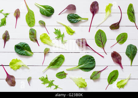 Pattern design of various salad leaves on white wooden background / Flat lay green salad leaves on white background Stock Photo