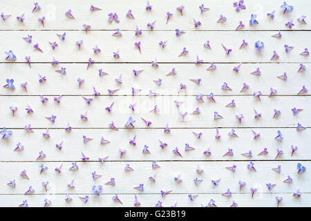 Lilac flowers pattern on white wooden background. Flat lay of purple lilac flowers on white backdrop, flat lay Stock Photo