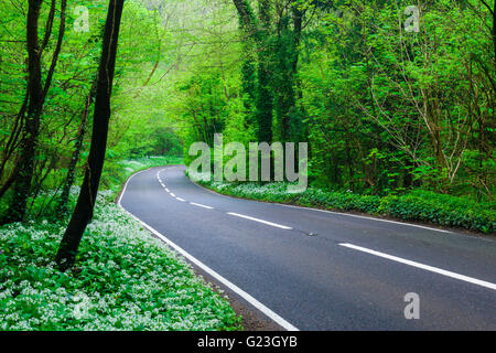 Brockley combe hi res stock photography and images Alamy