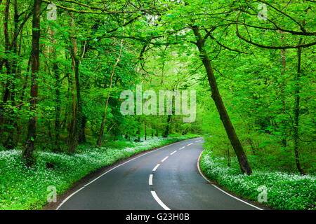 Brockley combe hi res stock photography and images Alamy