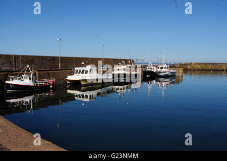 Boats in St Abbs Harbour East Lothian Central Scotand May 2016 Stock ...