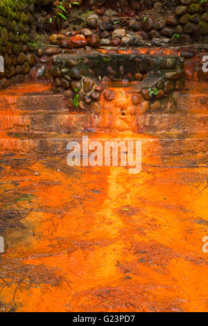 Rusty Springs along Trail of the Shadows, Mt Rainier National Park, Washington Stock Photo