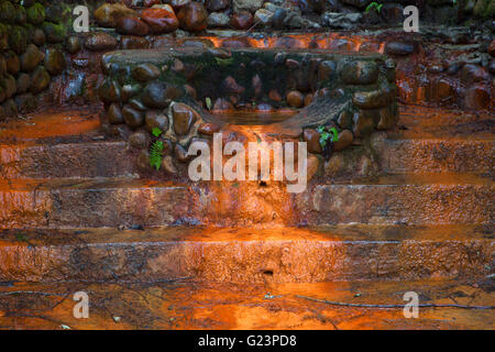 Rusty Springs along Trail of the Shadows, Mt Rainier National Park, Washington Stock Photo