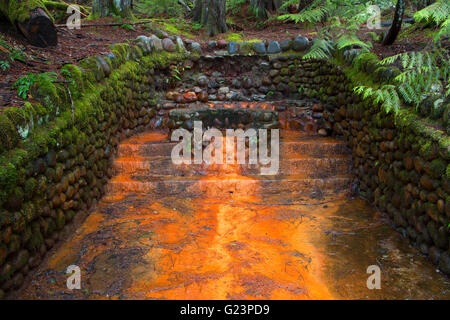 Rusty Springs along Trail of the Shadows, Mt Rainier National Park, Washington Stock Photo